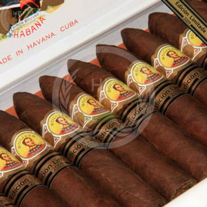 Bolivar Petit Belicosos Edicion Limitada 2009 7 Bolivar Petit Belicosos Edicion Limitada 2009