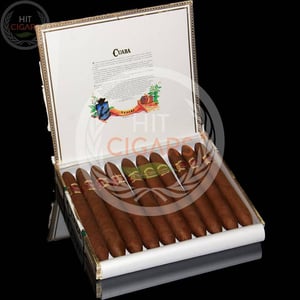 cuaba-salomones-box-of-10-cigars-1 Cuaba Salomones
