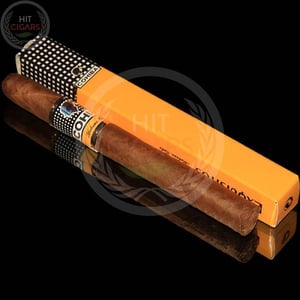 Cohiba Exquisitos (5x5 Packs) 2 Cohiba Exquisitos (5x5 Packs)