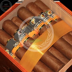 Cohiba Robustos 13 Cohiba Robustos