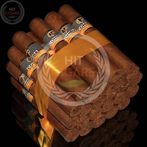 Cohiba Robustos 7 Cohiba Robustos