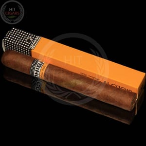 Cohiba Siglo IV (5x5 Packs) 2 Cohiba Siglo IV (5x5 Packs)