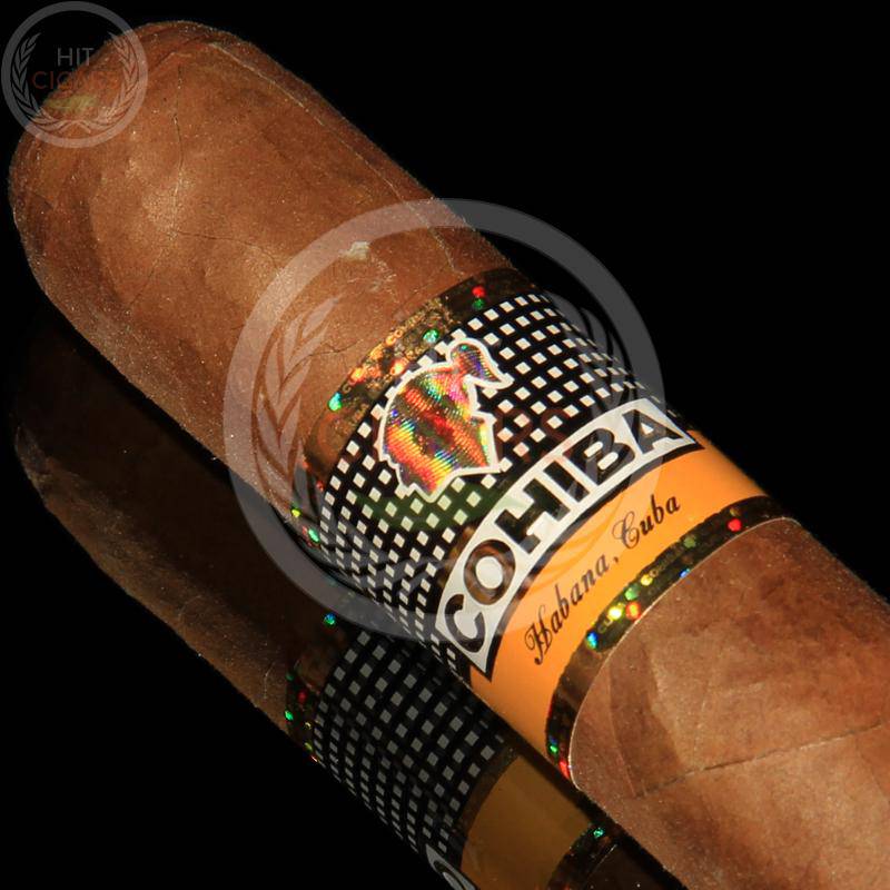 Cohiba Siglo VI (Cab of 10)