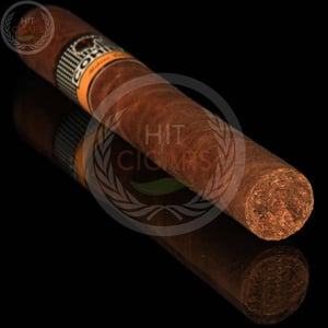 Cohiba Siglo VI 9 Cohiba Siglo VI