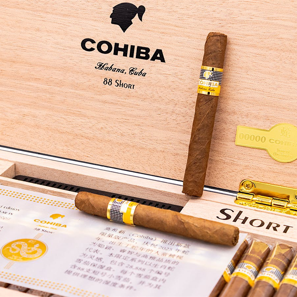Cohiba Short Humidor Year of the Snake