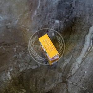 Djarum Forte Cool Mango