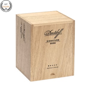 Davidoff Signature 6000 2 Davidoff Signature 6000