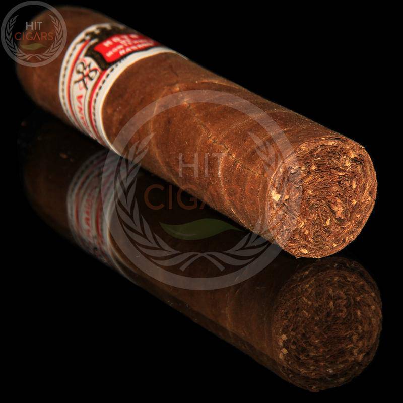 Hoyo De Monterrey Petit Robustos