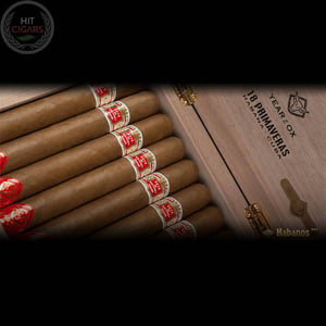 Hoyo de Monterrey 18 Primaveras Year Of The Cow 2021 3 Hoyo de Monterrey 18 Primaveras Year Of The Cow 2021