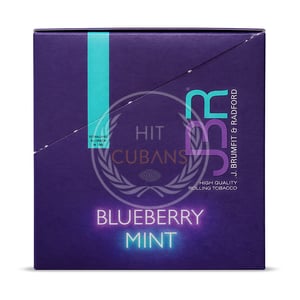 JBR Blueberry Mint 30g
