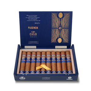 Plasencia Alma del Cielo Celeste Robusto 2 Plasencia Alma del Cielo Celeste Robusto