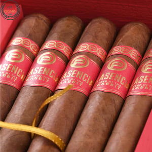 Plasencia Year Of The Rabbit Limited Edition 2023 8 Plasencia Year Of The Rabbit Limited Edition 2023