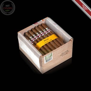 punch-mantua-italy-regional-edition-2019-1 Punch ManTua Italy Regional Edition 2019