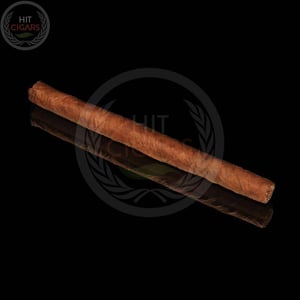 Partagas Mini 20's 2 Partagas Mini 20's