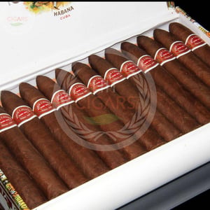 Romeo y Julieta Belicosos 6 Romeo y Julieta Belicosos