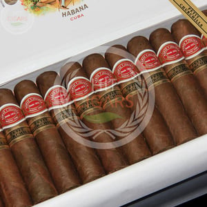 Romeo y Julieta Petit Churchills 7 Romeo y Julieta Petit Churchills