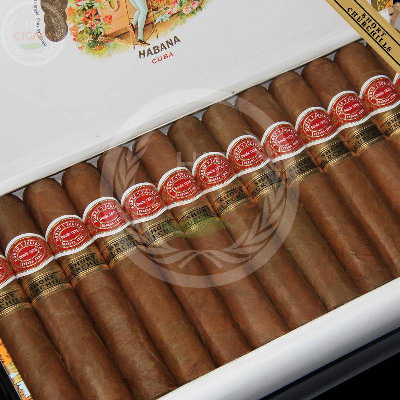 Romeo y Julieta Short Churchills