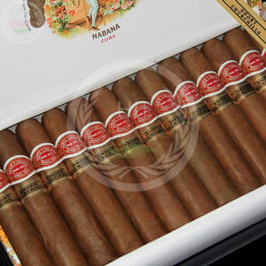 Romeo y Julieta Short Churchills 8 Romeo y Julieta Short Churchills