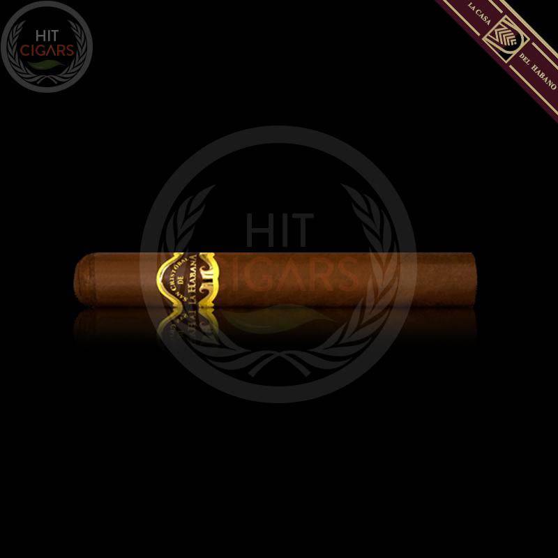 San Cristobal Torreon Jar 2012 (LCDH)