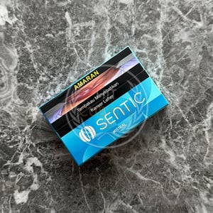 Sentic Mistral