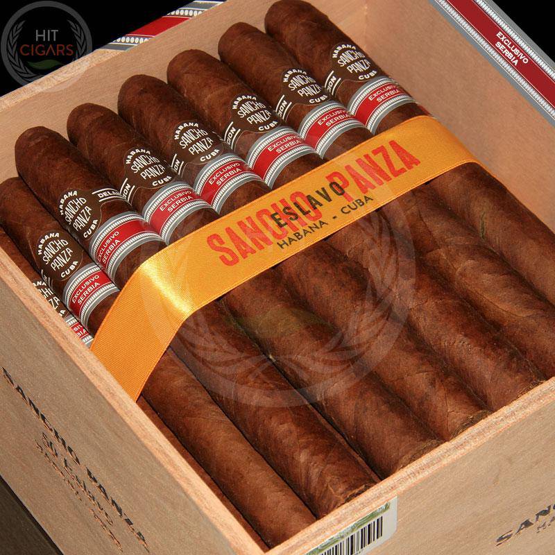 Sancho Panza Eslavo Serbia Regional Edition 2014