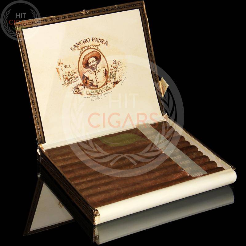 Sancho Panza Sanchos (Aged)