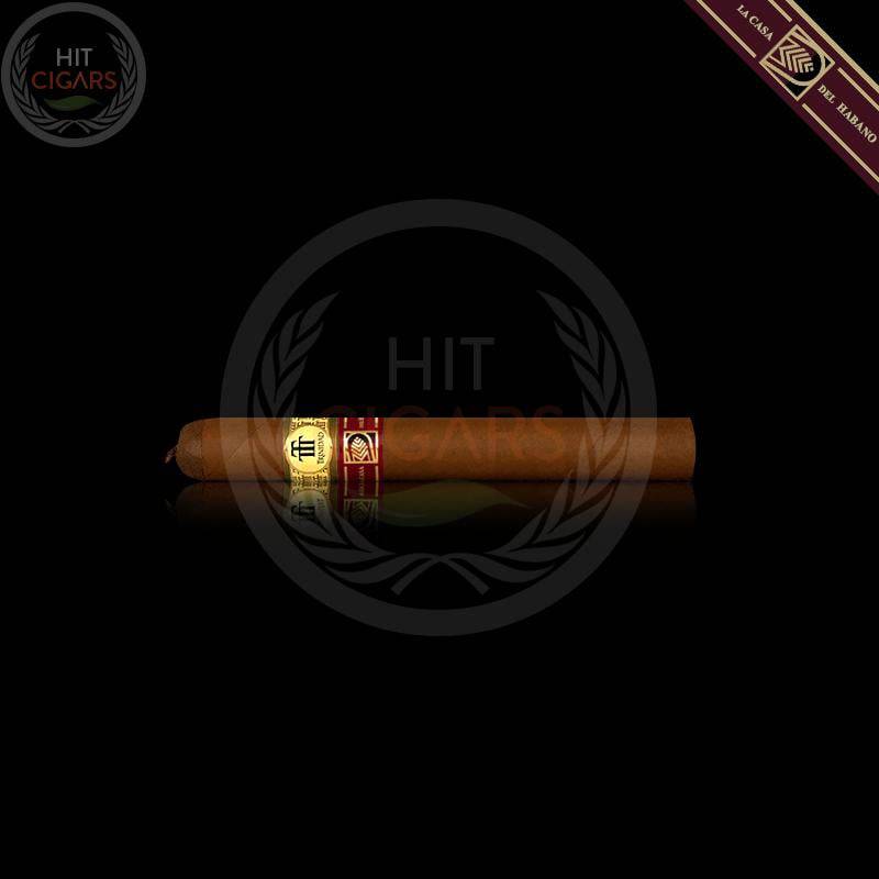 trinidad-la-trova-lcdh-1 Trinidad La Trova (LCDH)