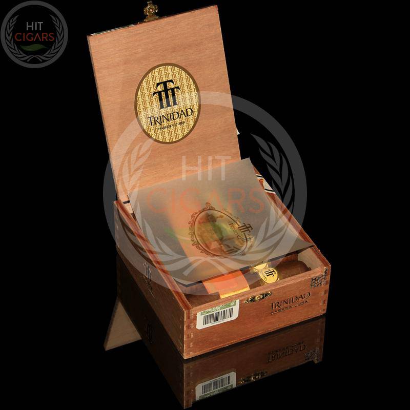 Trinidad Vigia