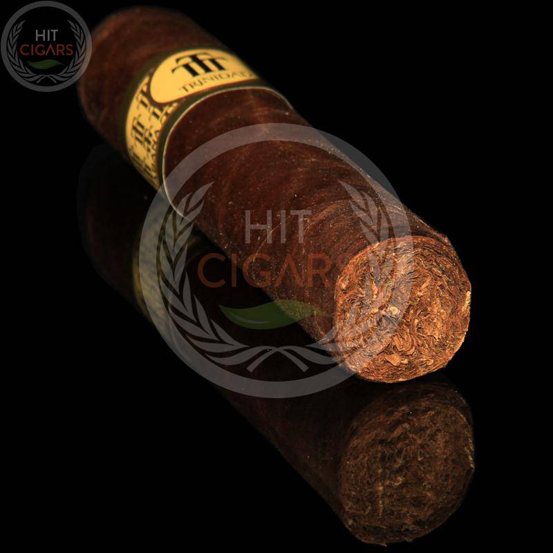 Trinidad Vigia