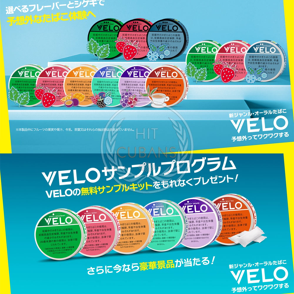 velo-spiffy-spearmint-medium-jp-1 VELO Spiffy Spearmint Medium