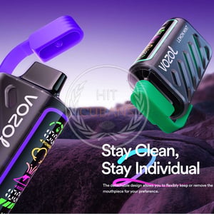 Vozol Gear Power 20000 Lychee Rybena