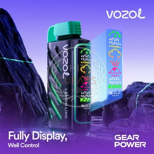 Vozol Gear Power 20000 Peach Mango