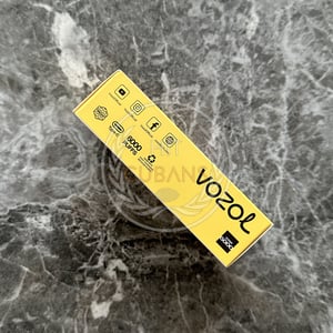 Vozol Star 6000 Pumpkin Latte