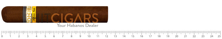 Cohiba Robustos 14 Cohiba Robustos