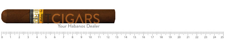 Cohiba Siglo II 14 Cohiba Siglo II