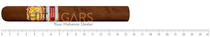 El Rey Del Mundo Balthasar Baltic Regional Edition 2009 2 El Rey Del Mundo Balthasar Baltic Regional Edition 2009