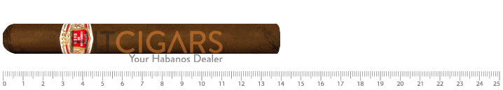Hoyo De Monterrey Palmas Extra 2 Hoyo De Monterrey Palmas Extra