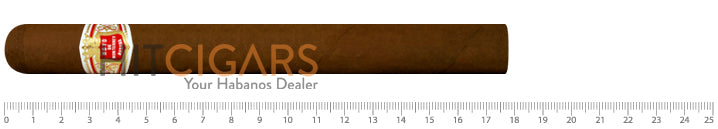 Hoyo De Monterrey Churchills