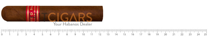 Partagas Serie D No. 4 Humidor 4 Partagas Serie D No.4
