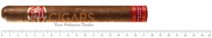 Partagas 175th Anniversary Tropicales Humidor 4 Partagas Tropicales 175th Anniversary Humidor
