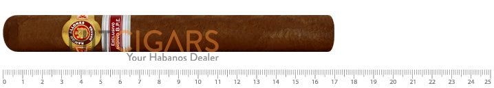 Ramon Allones Gladiator Andes Regional Edition 2010