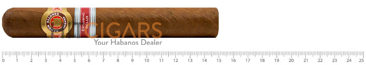 Ramon Allones Robusto XXL Belux Regional Edition 2015