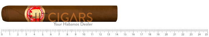 Saint Luis Rey Regios