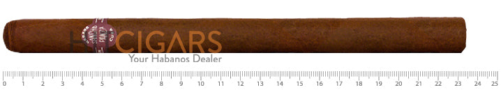Sancho Panza Sanchos (Aged) 11 Sancho Panza Sanchos (Aged)