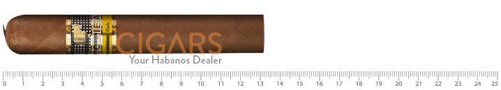 Cohiba Ambar